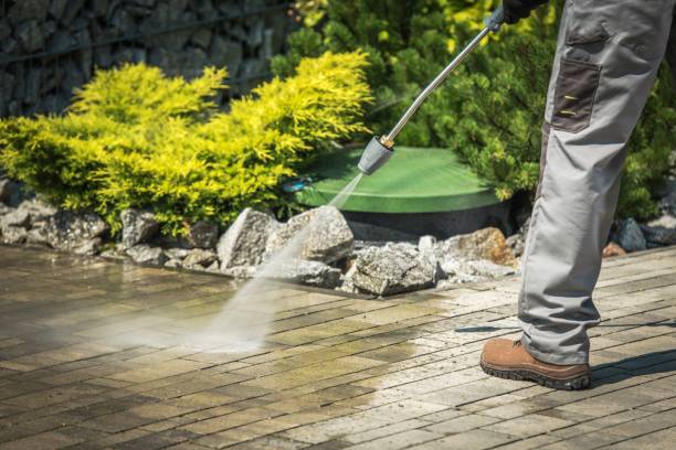 Best Sidewalk and Walkway Cleaning  in Boling, TX